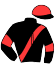 casaque portée par Laboutique S. jockey du cheval de course GRYFFONDOR DU POLI, information pmu ZETURF