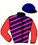 casaque portée par Brossard N. R. jockey du cheval de course FIFTY, information pmu ZETURF casaque portée par Brossard N. R. jockey du cheval de course FIFTY, information pmu ZETURF