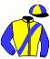 casaque portée par Vercruysse P. jockey du cheval de course FILOU NICAUX, information pmu ZETURF casaque portée par Vercruysse P. jockey du cheval de course FILOU NICAUX, information pmu ZETURF