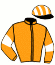 casaque portée par Lamy A. jockey du cheval de course GAULE ROMAINE, information pmu ZETURF