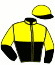 casaque portée par Rochard B. jockey du cheval de course LOREL DE L'ORMERIE, information pmu ZETURF