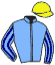 casaque portée par Rochard B. jockey du cheval de course HUMOUR FESTIF, information pmu ZETURF casaque portée par Rochard B. jockey du cheval de course HUMOUR FESTIF, information pmu ZETURF