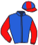 casaque portée par Bazire N. jockey du cheval de course ERMES EFFESSE, information pmu ZETURF casaque portée par Bazire N. jockey du cheval de course ERMES EFFESSE, information pmu ZETURF