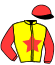 casaque portée par Ernault S. jockey du cheval de course KANDEL DE BEYLEV, information pmu ZETURF