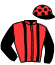 casaque portée par De Jesus Est. jockey du cheval de course LAREINE D'OURVILLE, information pmu ZETURF casaque portée par De Jesus Est. jockey du cheval de course LAREINE D'OURVILLE, information pmu ZETURF