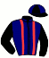 casaque portée par Bekaert D. jockey du cheval de course HARMONY DU RABUTIN, information pmu ZETURF casaque portée par Bekaert D. jockey du cheval de course HARMONY DU RABUTIN, information pmu ZETURF