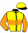 casaque portée par Croisic Mme Est. jockey du cheval de course HURRICANE WAY, information pmu ZETURF
