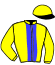 casaque portée par Derieux R. jockey du cheval de course NICE PRESENT, information pmu ZETURF casaque portée par Derieux R. jockey du cheval de course NICE PRESENT, information pmu ZETURF