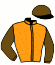 casaque portée par Barrier A. jockey du cheval de course DARDO ZACK, information pmu ZETURF casaque portée par Barrier A. jockey du cheval de course DARDO ZACK, information pmu ZETURF