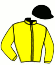 casaque portée par Raffin E. jockey du cheval de course HANNAH, information pmu ZETURF