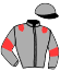 casaque portée par Toutain P. jockey du cheval de course FAMOUS BOY (FR), information pmu ZETURF