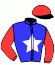 casaque portée par Lepere Mlle A. jockey du cheval de course FOREVER STONE (FR), information pmu ZETURF