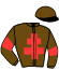 casaque portée par Gence F. jockey du cheval de course JAZZ DES GLOBES, information pmu ZETURF
