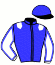 casaque portée par Dersoir J. L. Cl. jockey du cheval de course HANNIBAL DE NUIT, information pmu ZETURF casaque portée par Dersoir J. L. Cl. jockey du cheval de course HANNIBAL DE NUIT, information pmu ZETURF
