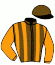 casaque portée par Rochard B. jockey du cheval de course LIRELLO, information pmu ZETURF