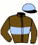 casaque portée par Gadois Jea. L. jockey du cheval de course HEGA DES LANDIERS, information pmu ZETURF
