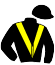 casaque portée par Masson A. jockey du cheval de course MONEY MONEY, information pmu ZETURF casaque portée par Masson A. jockey du cheval de course MONEY MONEY, information pmu ZETURF