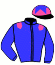 casaque portée par Chevillard T. jockey du cheval de course FLORA QUEEN, information pmu ZETURF casaque portée par Chevillard T. jockey du cheval de course FLORA QUEEN, information pmu ZETURF