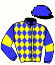 casaque portée par Berge C. jockey du cheval de course BLEUSKY, information pmu ZETURF casaque portée par Berge C. jockey du cheval de course BLEUSKY, information pmu ZETURF