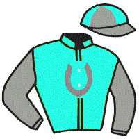 casaque portée par Molins Mme Amb. jockey du cheval de course VIZINDI, information pmu ZETURF casaque portée par Molins Mme Amb. jockey du cheval de course VIZINDI, information pmu ZETURF
