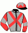 casaque portée par Lebrun J. S. jockey du cheval de course MISS SADDEX, information pmu ZETURF casaque portée par Lebrun J. S. jockey du cheval de course MISS SADDEX, information pmu ZETURF