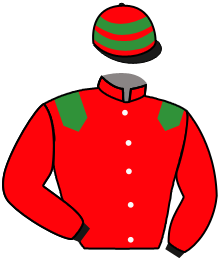 casaque portée par Foulon M. jockey du cheval de course KITTEN'S VISTA, information pmu ZETURF