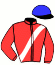 casaque portée par Janacek V. jockey du cheval de course DEFINED (GB), information pmu ZETURF