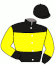 casaque portée par Gelormini G. jockey du cheval de course COKSTILE, information pmu ZETURF