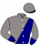 casaque portée par Barrier A. jockey du cheval de course ALHAMBRA MAIL, information pmu ZETURF