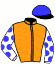 casaque portée par Bachelot T. jockey du cheval de course WILDFANG (DE), information pmu ZETURF