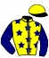 casaque portée par Barzalona M. jockey du cheval de course PEACE WARRIOR, information pmu ZETURF