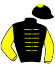 casaque portée par Besnier H. jockey du cheval de course MILLIONAIRE, information pmu ZETURF