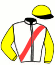 casaque portée par Meunier Gab. jockey du cheval de course THE GREAT ESCAPE, information pmu ZETURF