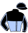 casaque portée par Guerineau F. jockey du cheval de course MARVELLOUS TOOMA, information pmu ZETURF