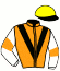 casaque portée par Leung K.C. jockey du cheval de course PEGASUS GENERAL, information pmu ZETURF