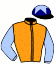 casaque portée par Poon M.F. jockey du cheval de course ICE LEGEND, information pmu ZETURF