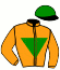 casaque portée par Abrivard M. jockey du cheval de course JILT FLEVO (NL), information pmu ZETURF