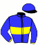 casaque portée par Van Den Putte Fra. jockey du cheval de course FURIEUX DE GINAI (FR), information pmu ZETURF