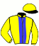 casaque portée par Tamsin P. jockey du cheval de course NOBLE DE LA VALLEE (BE), information pmu ZETURF