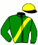casaque portée par Van Eeckhaute Jér. G. jockey du cheval de course DIVA BEAUREGARD, information pmu ZETURF casaque portée par Van Eeckhaute Jér. G. jockey du cheval de course DIVA BEAUREGARD, information pmu ZETURF