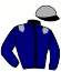 casaque portée par Tison Mlle S. jockey du cheval de course HUCSUCSO, information pmu ZETURF