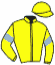 casaque portée par Depuydt Kri. jockey du cheval de course KINGSTON DYCO, information pmu ZETURF casaque portée par Depuydt Kri. jockey du cheval de course KINGSTON DYCO, information pmu ZETURF