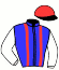 casaque portée par Tesselaar D.P. jockey du cheval de course PEARL HAZELAAR, information pmu ZETURF