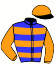 casaque portée par De Vlieger R. jockey du cheval de course HIGH KITE, information pmu ZETURF