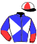 casaque portée par Velon Mlle M. jockey du cheval de course LORIELLE, information pmu ZETURF