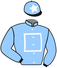 casaque portée par Guyon M. jockey du cheval de course NERANO, information pmu ZETURF