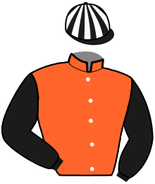 casaque portée par Rochard B. jockey du cheval de course KOURANE LA CHENAIE, information pmu ZETURF casaque portée par Rochard B. jockey du cheval de course KOURANE LA CHENAIE, information pmu ZETURF