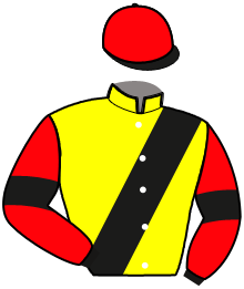 casaque portée par Gelormini G. jockey du cheval de course KALINKA DE SEE, information pmu ZETURF casaque portée par Gelormini G. jockey du cheval de course KALINKA DE SEE, information pmu ZETURF