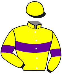 casaque portée par Figueroa Paz V. jockey du cheval de course ISILDUR PAULOIS, information pmu ZETURF casaque portée par Figueroa Paz V. jockey du cheval de course ISILDUR PAULOIS, information pmu ZETURF