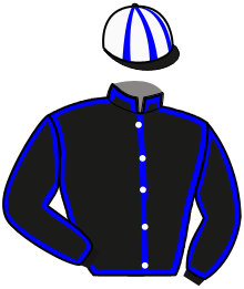 casaque portée par Saout Mlle C. jockey du cheval de course JEFFERSON DE CAREL, information pmu ZETURF casaque portée par Saout Mlle C. jockey du cheval de course JEFFERSON DE CAREL, information pmu ZETURF